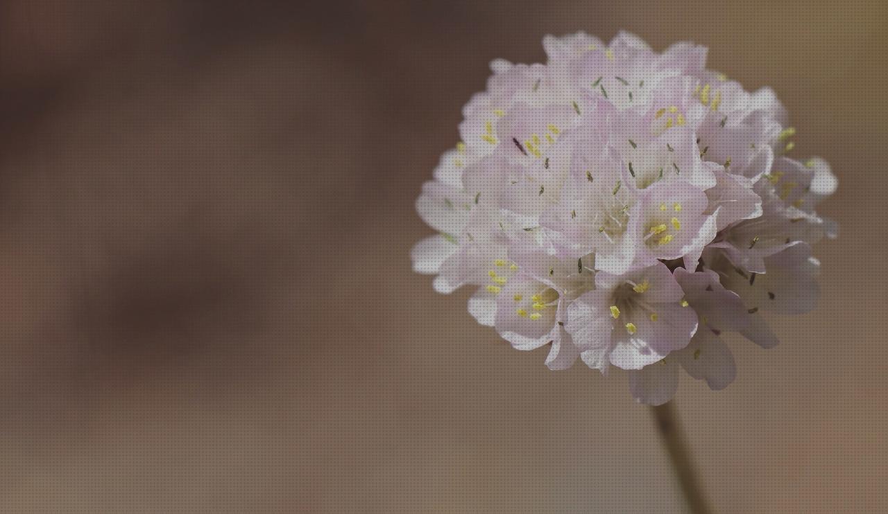 32 Mejores armeria pistolas 9mm