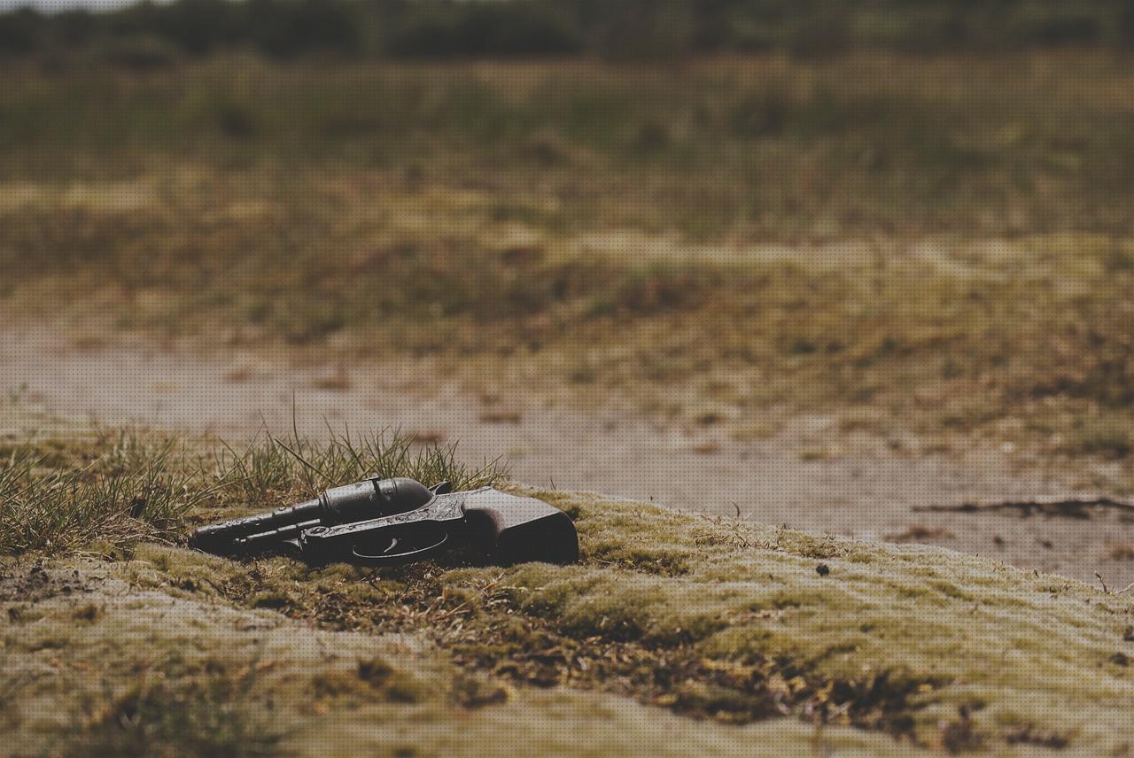 Las mejores pistola gamo glock calibres de pistolas glock