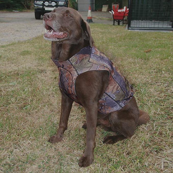 ¿Dónde poder comprar chaleco tactico con funda pistola chalecos perros caza?