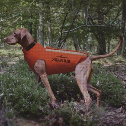 Las mejores chaleco tactico con funda pistola chalecos perros caza