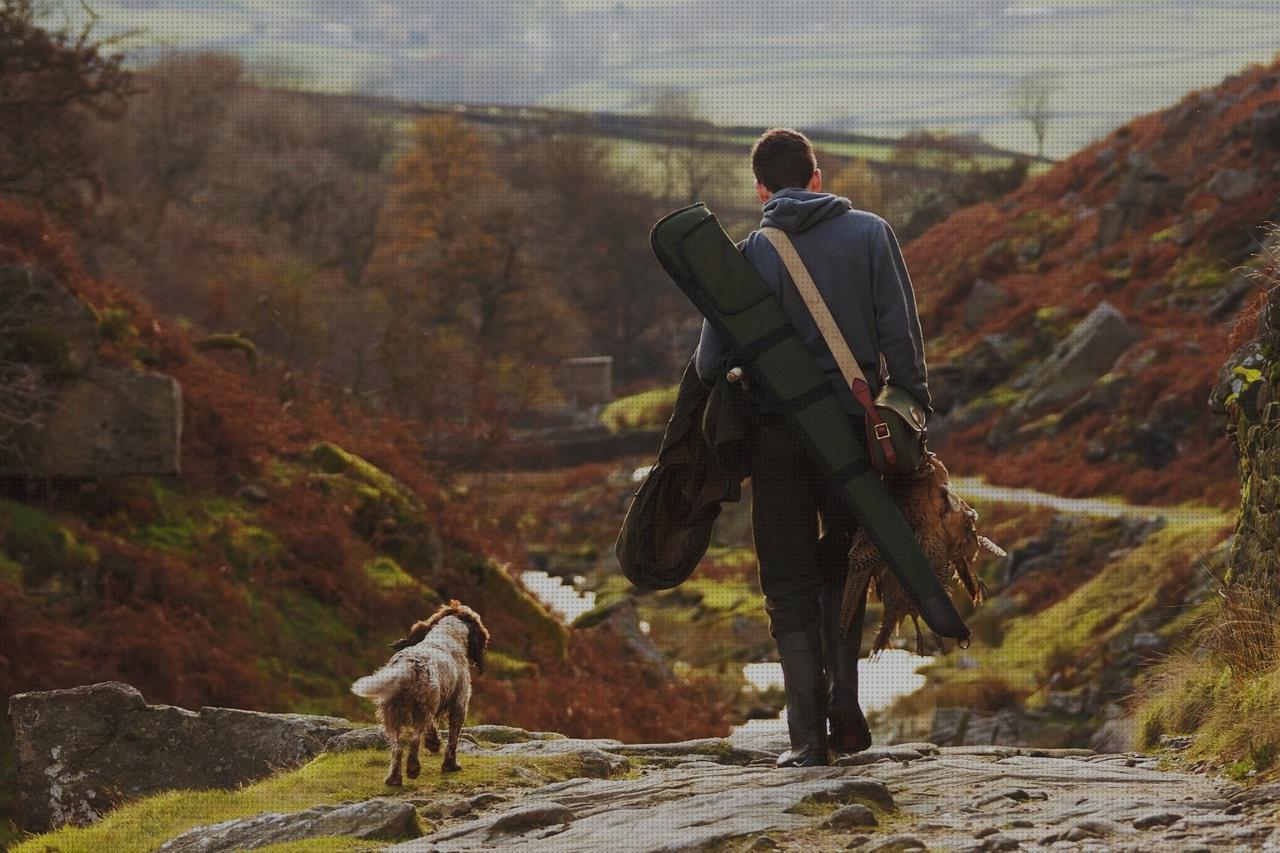 Las mejores marcas de pistola aire comprimido stoeger escopeta stoeger