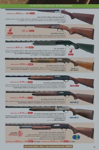 Las mejores marcas de calibres escopetas aire comprimido escopetas escopeta calibre 10