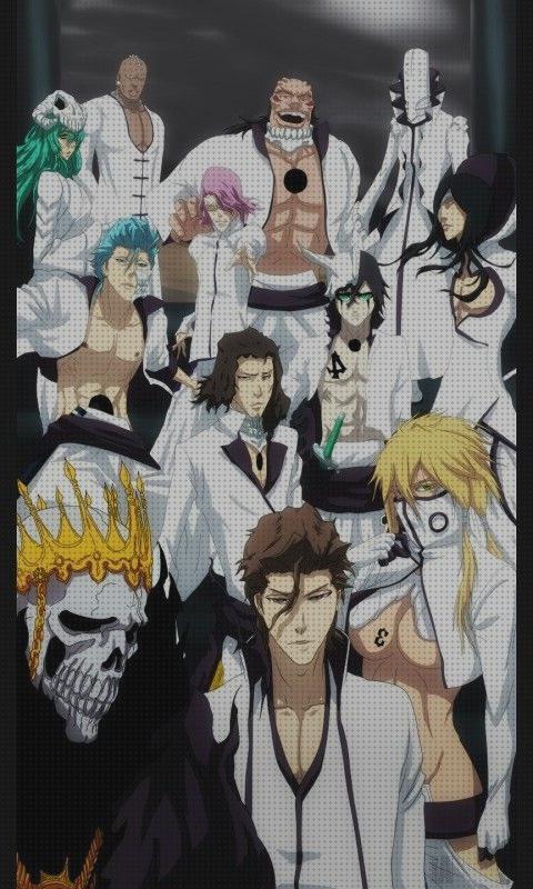 Las 17 Mejores espadas bleach