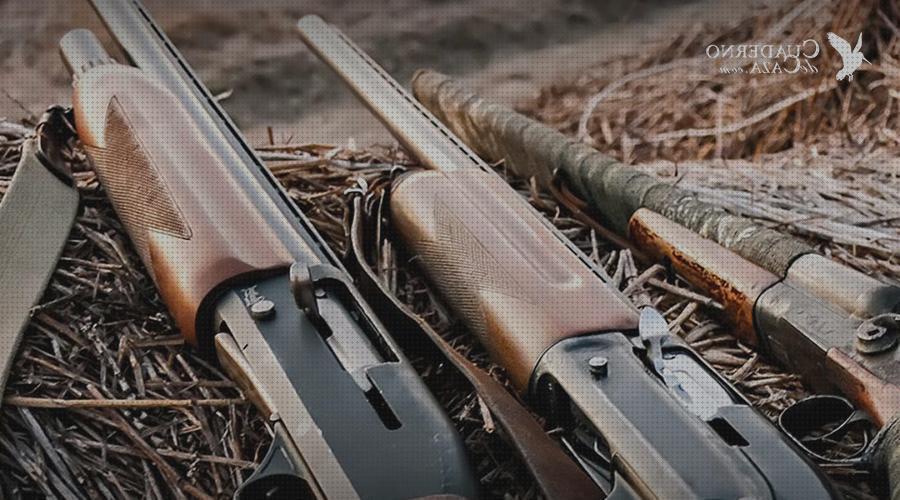 ¿Dónde poder comprar escopetas marcas escopetas marcas de escopetas de caza?