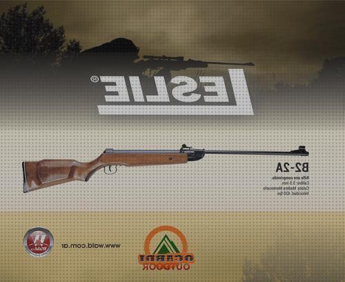 Las mejores rifle aire comprimido 4 5 leslie