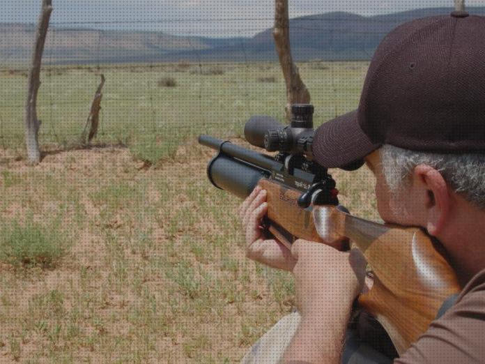 ¿Dónde poder comprar rifles rifles de precision aire comprimido?